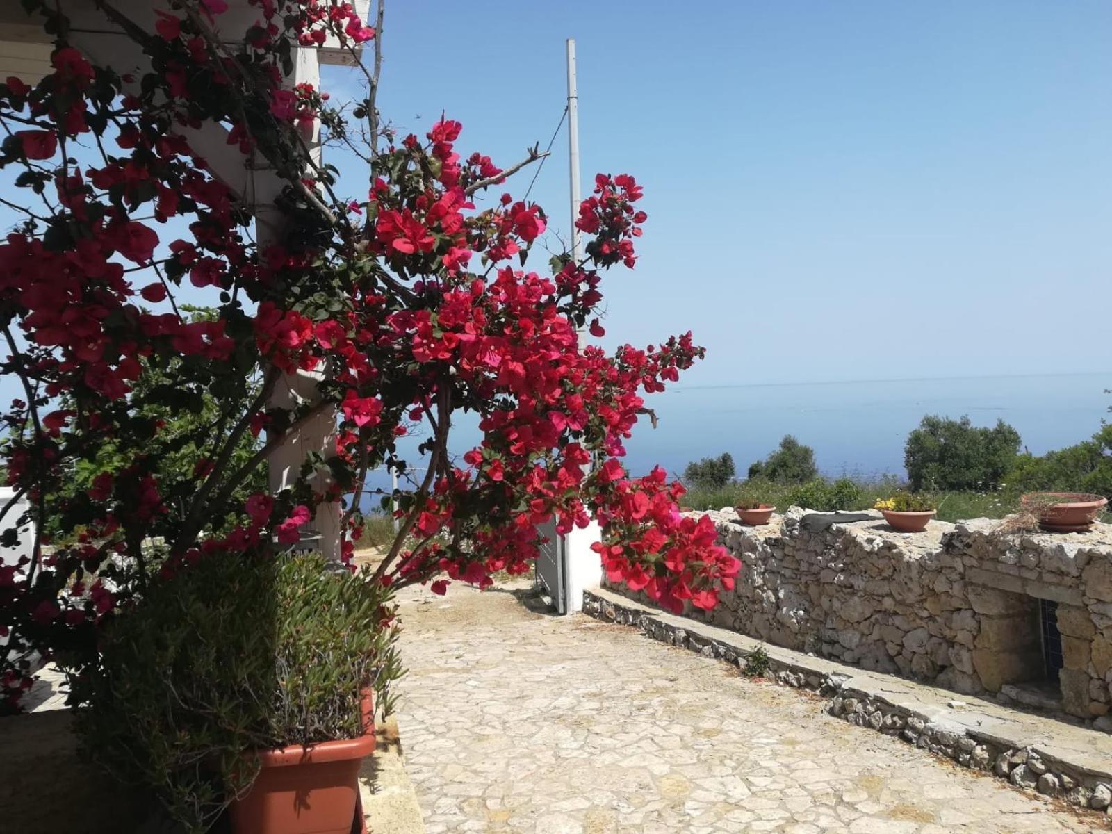Villa Azzurrosalento à Marina Serra Extérieur photo